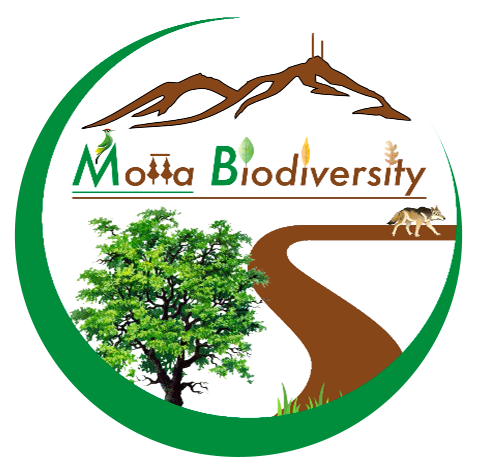Motta Biodiversity